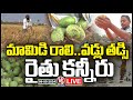 LIVE: Farmers In Concern As Heavy Rain Damage Mango Crop and Paddy Grains | V6 News