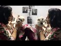 Actress Charmme Kaur playing with her pet dog, video goes viral