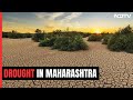Drought Declared in 43 Maharashtra Talukas