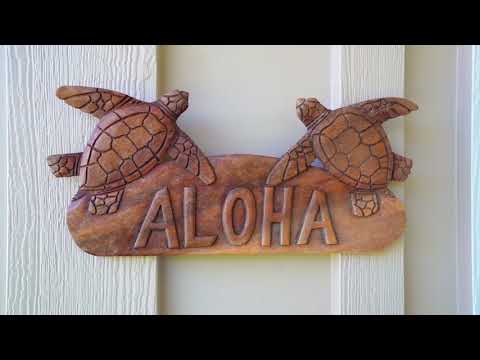Property video