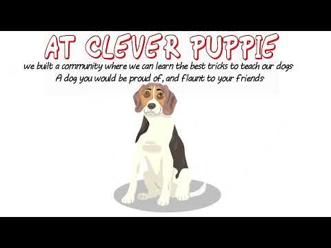 Clever Puppies Guides: Different Dog Breeds