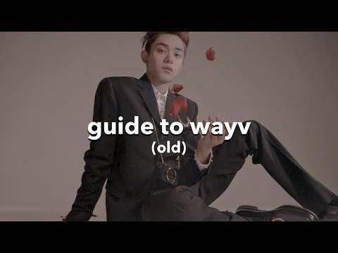 (un)HELPFUL guide to wayv