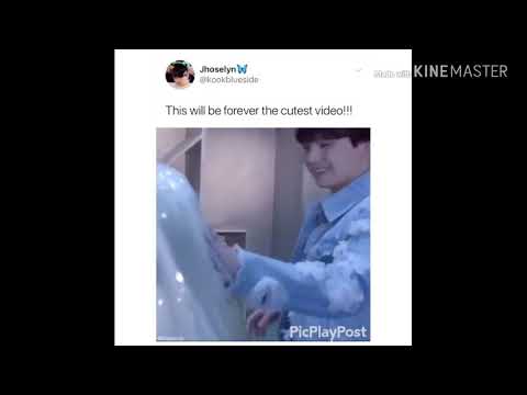Basically Army's Tweets #7