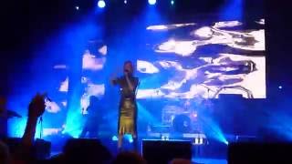 Varius Manx Kasia Stankiewicz Kot Bez Ogona Official Video