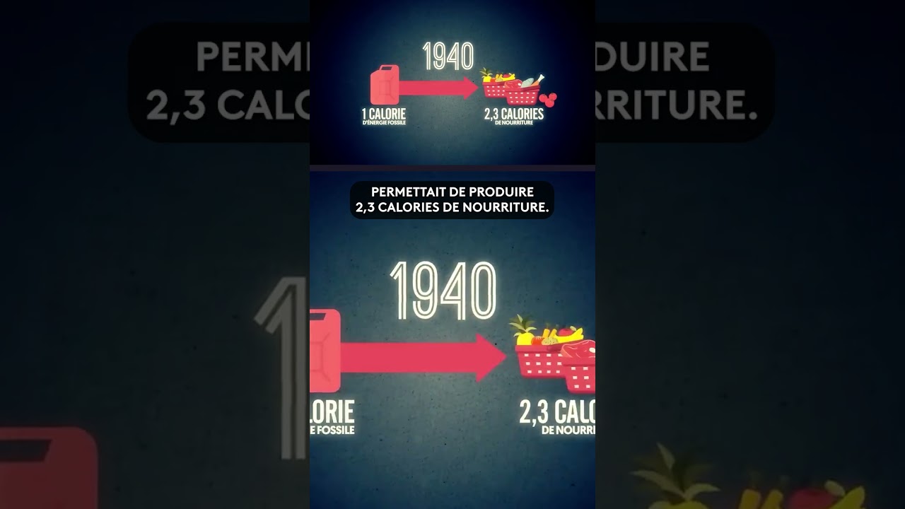 Nous gâchons la nourriture ? #food #ecology #france