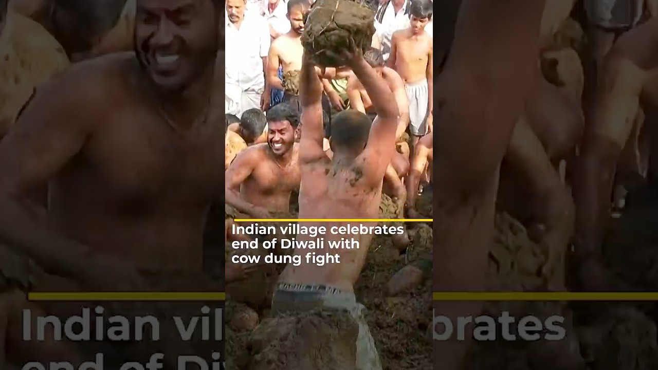 Indian village celebrates end of Diwali with cow dung fight | ajshorts