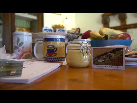Video realizado por la propiedad