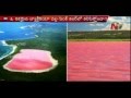 Pink Lake Hillier attracts Australia Tourists-Visuals