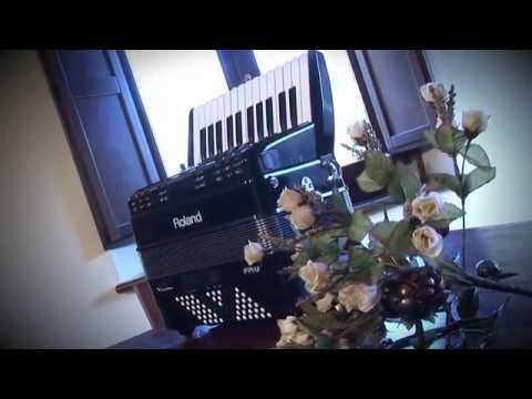 video Roland FR-1x V-Accordion – Black – Piano Type
