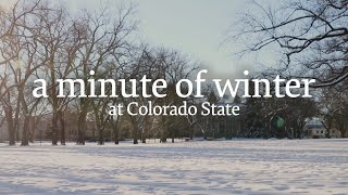 A minute of winter at Colorado State ❄️