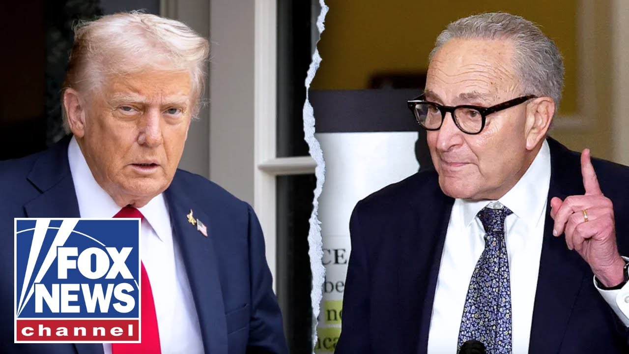 Democrats BLASTED over shutdown: This is all about 'how to hurt Trump'