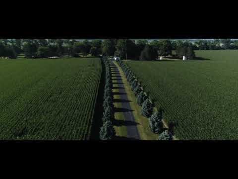 Property video