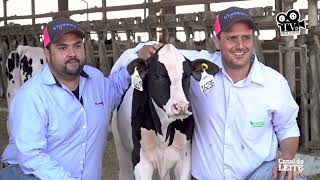 Fazenda Sekita Agronegócios: Inovação, Genética e Sustentabilidade na Pecuária Leiteira/TVHolstein