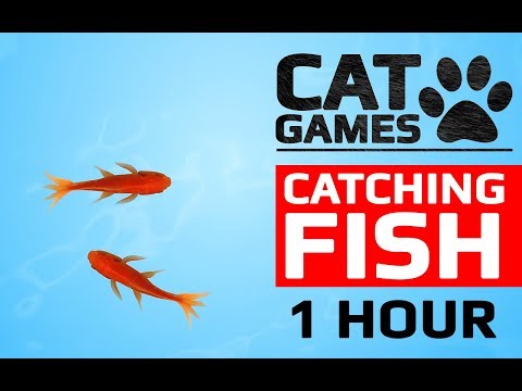 CAT GAMES - ? CATCHING FISH 1 HOUR VERSION (VIDEOS FOR CATS TO WATCH)
