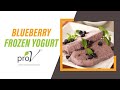 Blueberry Frozen Yogurt | #WellnessWednesday | ProV | Sanjeev Kapoor Khazana
