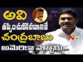 YS Jagan Sensational Comments : Chandrababu Naidu America Tour Is For Cool Climate