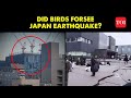 Did Birds Sense the Japan Earthquake?: These Videos Showcase Their Unexplained Behaviour