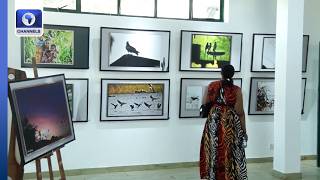 Aako Ugbade Host Solo Exhibition ‘Wild Meets Urban’