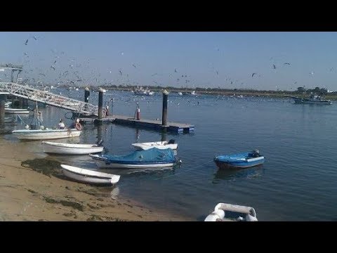 Vidéo de l’hébergement