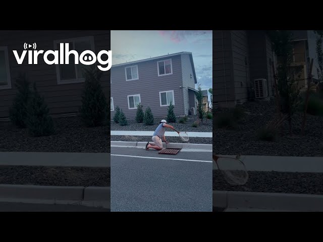 Ducklings Rescued From Storm Drain || ViralHog