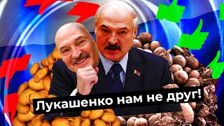 Личное: Что на самом деле думает Лукашенко про Россию? Из мерзкого соседа в надёжного партнёра