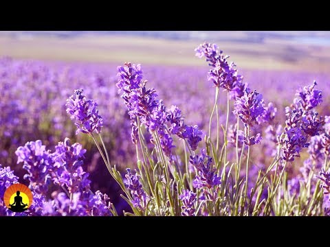 Baby Sleeping Music, Sleep Music, Calm Music, Delta Waves, Relaxing Music, 8 Hour Sleep, ☯3229