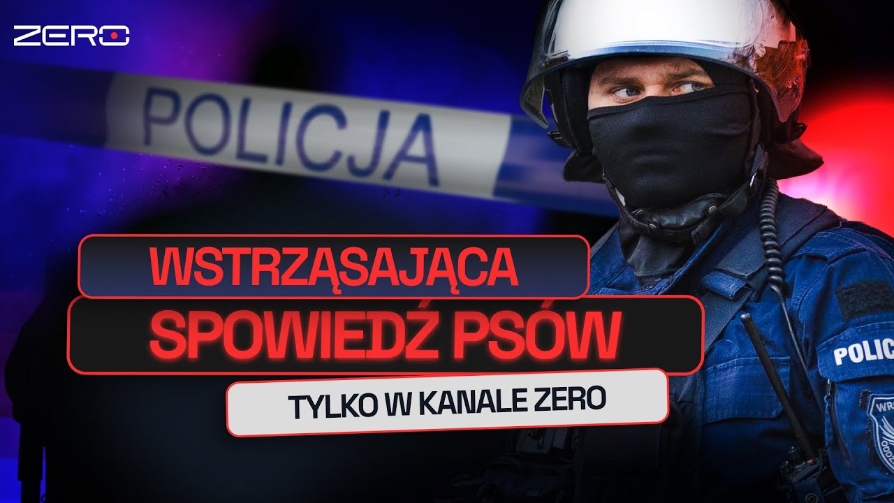 WSZYSTKIE GRZECHY POLSKIEJ POLICJI. FUNKCJONARIUSZE BEZ CENZURY