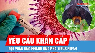 Bộ Y tế yêu cầu khẩn cấp củng cố các đội phản ứng nhanh ứng phó virus Nipah