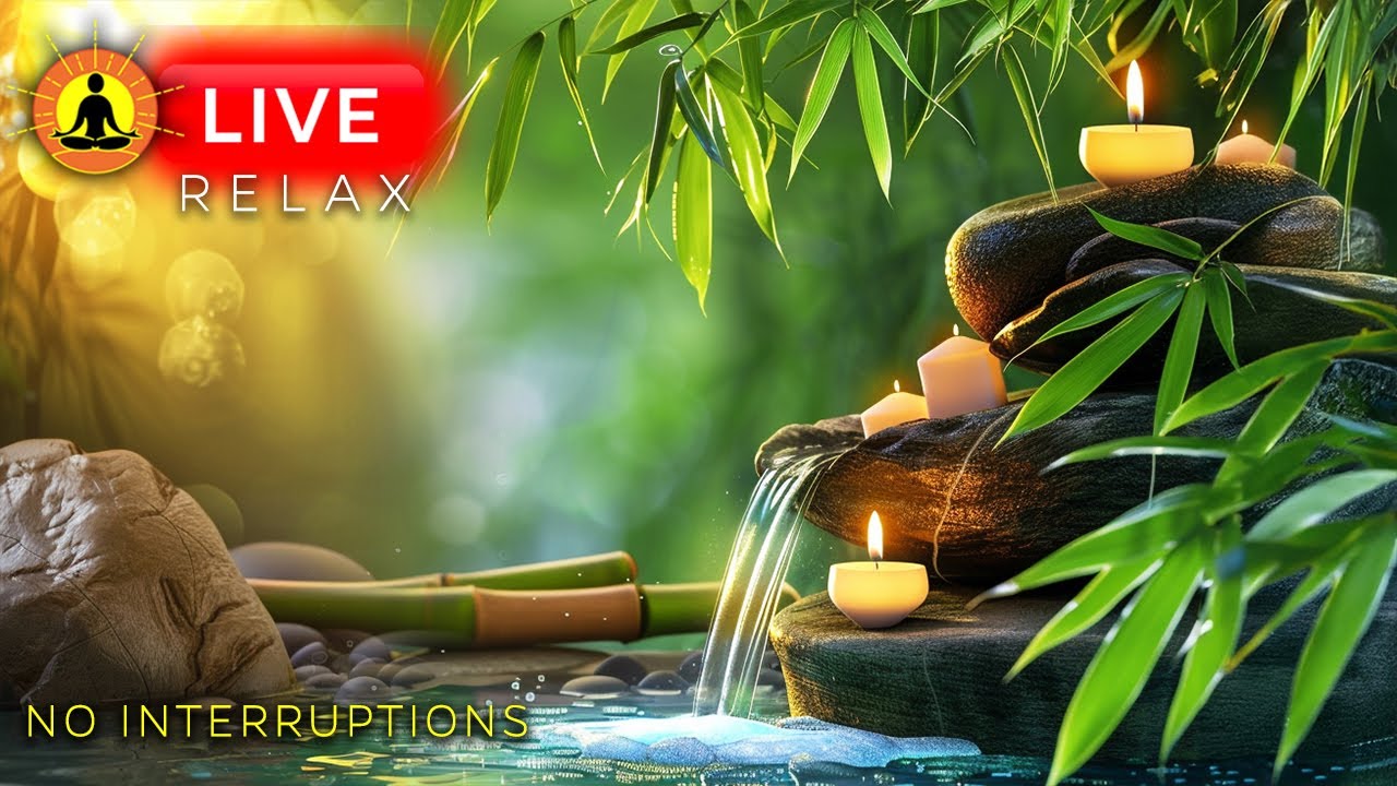 🔴 Indian Flute Meditation Music 24/7 🌿3394 - BEST FLUTE MUSIC 2025 | Healing Music for Stress Relief