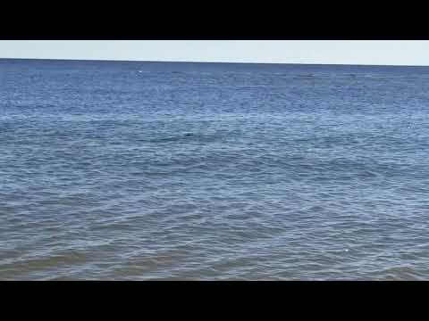 Vidéo de l’hébergement