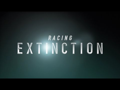 Racing Extinction'