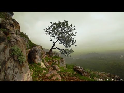 3 Hours of Beautiful Music by Peder B. Helland