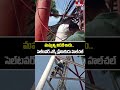 మమ్మల్ని విడదీశారు..సెల్‌టవర్ ఎక్కి ప్రేమికుడు హల్‌చల్ | Srikakulam Latest News | hmtv telugu  - 00:40 min - News - Video