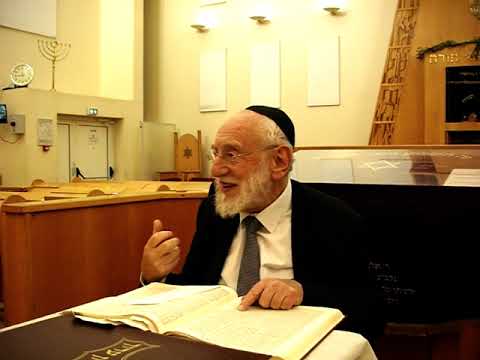 GUEMARA PESSAHIM  37 b Mardi 29 Octobre 2924 Rav Michel GUGENHEIM