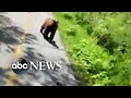 Hiker tries to scare away bear following her