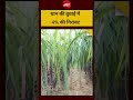 धान की बुवाई में 4% की गिरावट | #PaddyAcreage #KharifSeason2026 #AgricultureNews