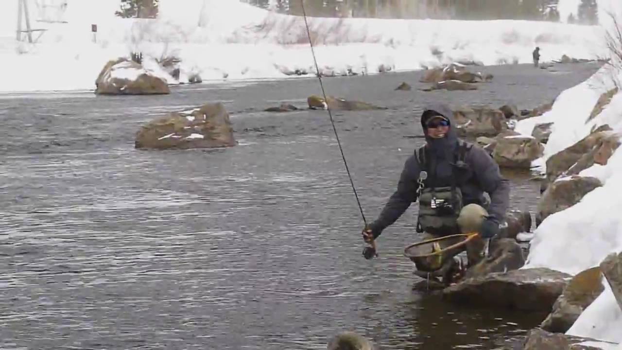 Taylor River Fly Fishing Colorado April2010 YouTube
