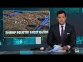 American whistleblower files complaint against India shrimp processing plant  - 07:21 min - News - Video