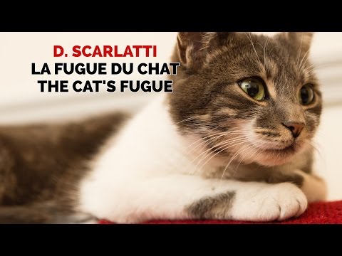 D. Scarlatti - Sonate 'La fugue du chat' (sonata 'the cat's fugue', G minor) K30 (piano)