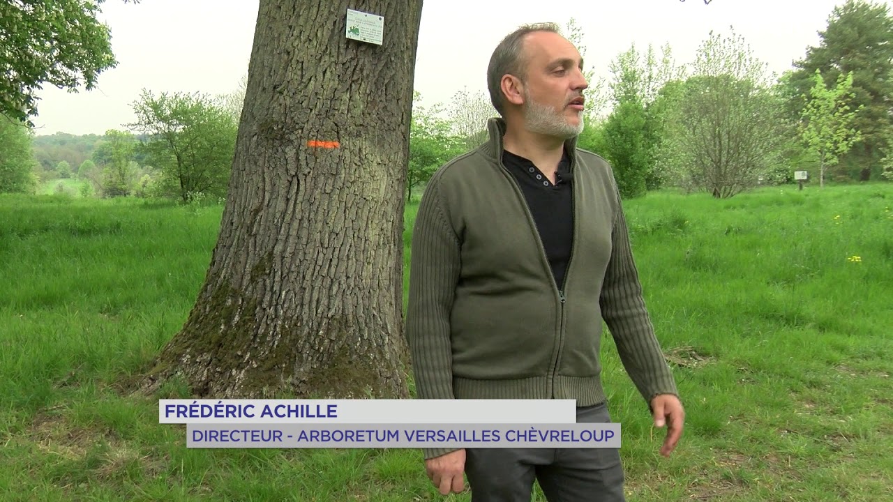 Yvelines | Balade : Nouveaux parcours à l’arboretum de Versailles-Chèvreloup