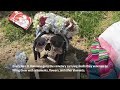 Skulls rite closes feast of the dead in Bolivia  - 00:57 min - News - Video