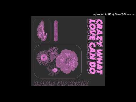 (전손주의)David Guetta - Crazy what love can do (B.A.S.E VIP REMIX)