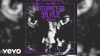 Naturaleza Salvaje (Salfumán Remix)