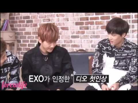 Exo funny/cute moments | Exo