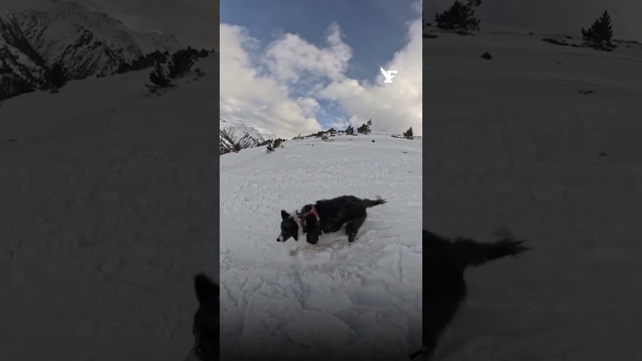 Une skieuse déclenche une avalanche et échappe de peu à la mort dans une station de ski d'Andorre !