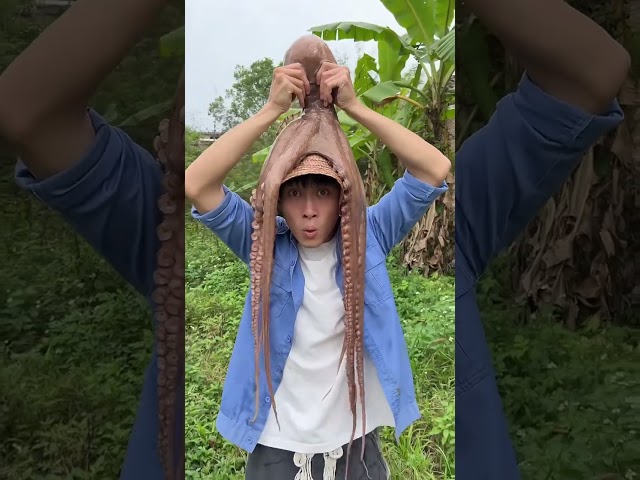 Have you ever eaten sea monster octopus|Chinese Mountain Forest Life And Food #MoTiktok #Fyp