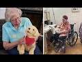 How robot pets are helping seniors face loneliness  - 01:18 min - News - Video