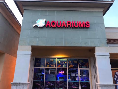 Aquarium store Miami, FL