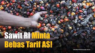Lobi AS demi Sawit! Indonesia Minta CPO Bebas Tarif Impor Baru