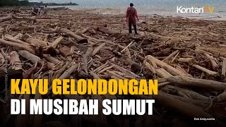 Kayu Gelondongan Terbawa Banjir di Sumut, Ini Penjelasan Kemenhut
